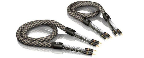 SC-6 BAN Speaker cable 3 metros