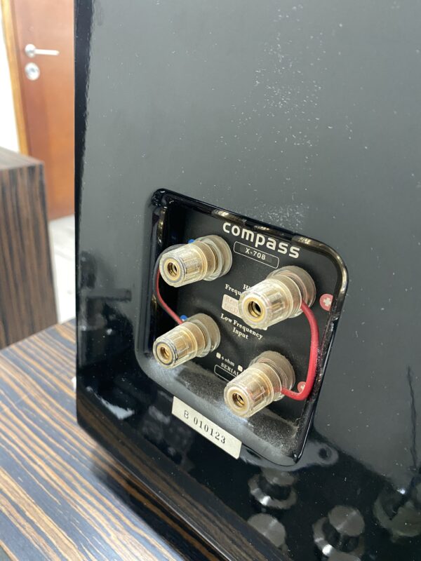 IMG_5163 USHER Compass X-708